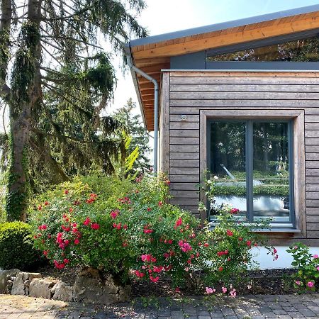 Balthasar Ress Guesthouse Am Rebhang Im Rheingau โอสตริช-วินเคิล ภายนอก รูปภาพ