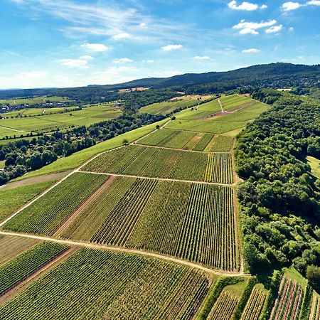 Balthasar Ress Guesthouse Am Rebhang Im Rheingau โอสตริช-วินเคิล ภายนอก รูปภาพ