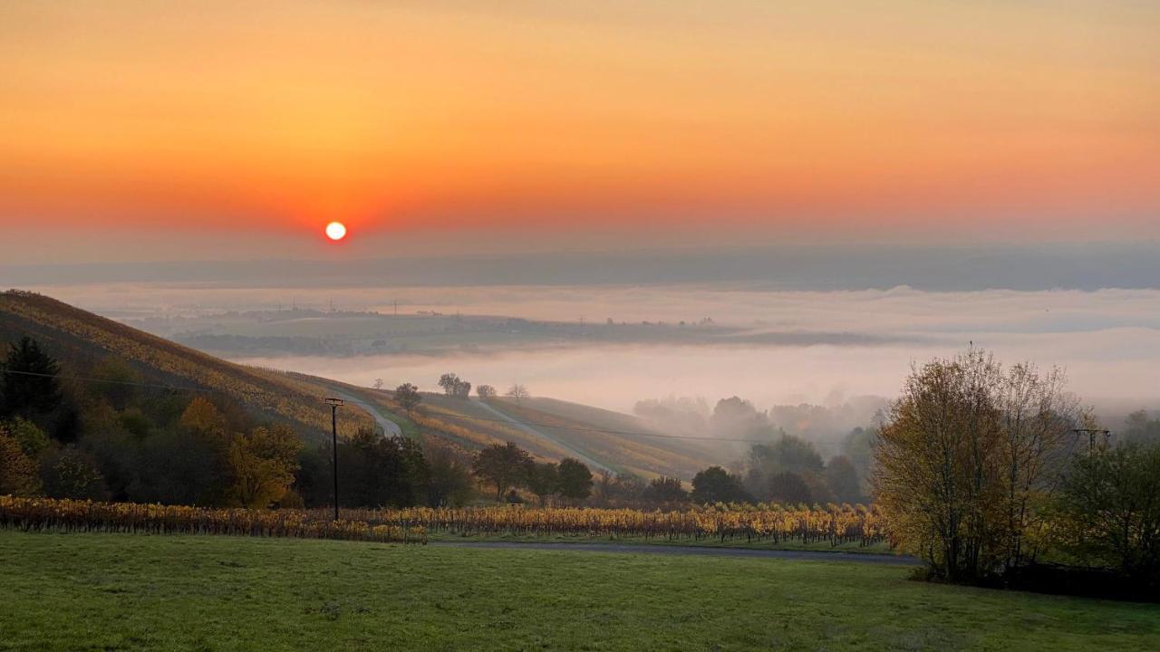 Balthasar Ress Guesthouse Am Rebhang Im Rheingau โอสตริช-วินเคิล ภายนอก รูปภาพ