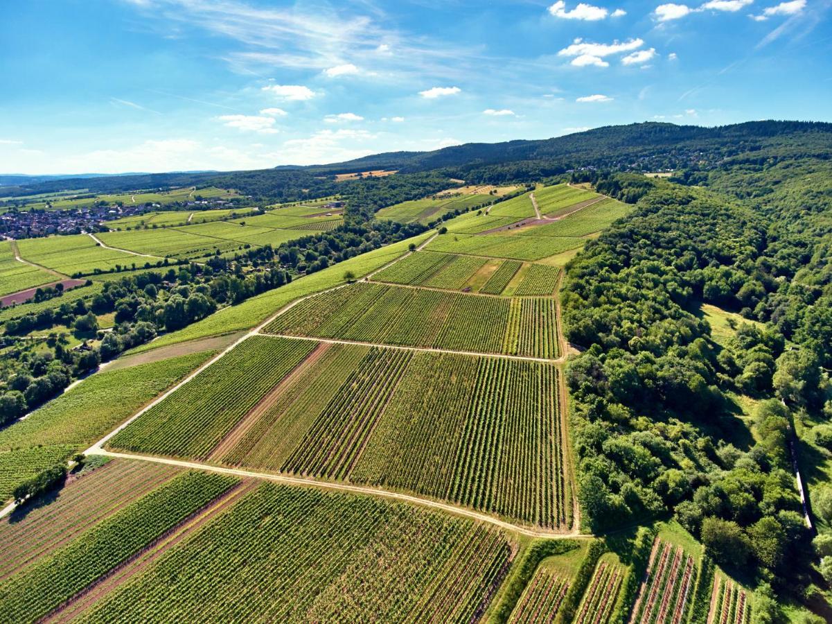 Balthasar Ress Guesthouse Am Rebhang Im Rheingau โอสตริช-วินเคิล ภายนอก รูปภาพ